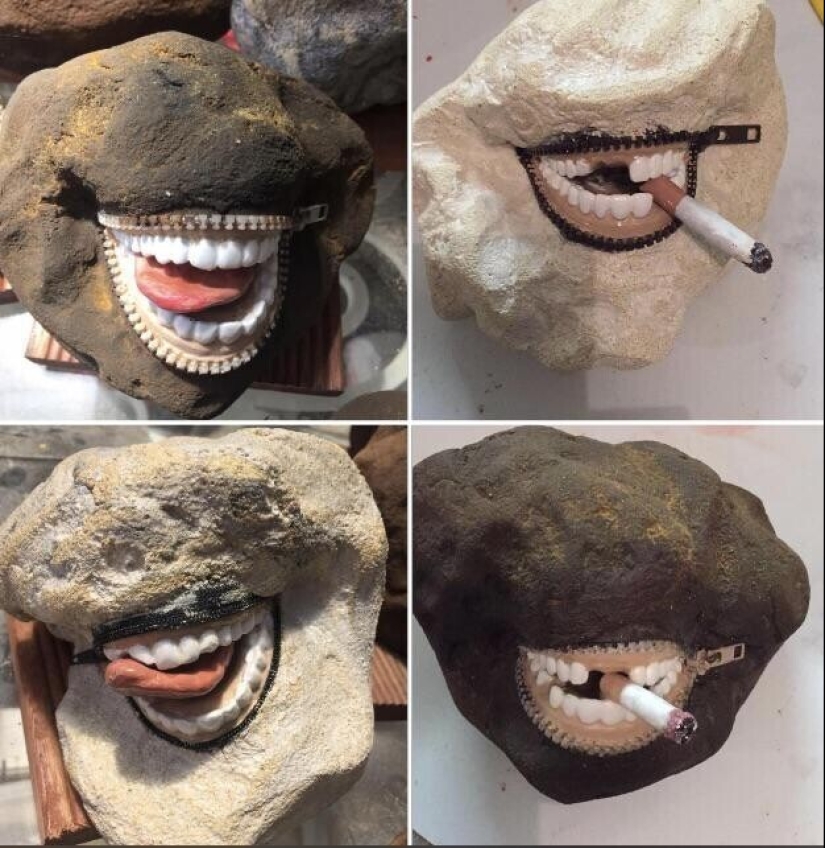 22 fotos divertidas de animales a los que no les gusta el Año Nuevo