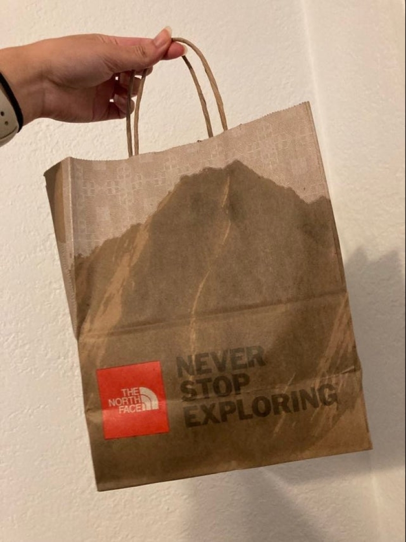 22 fotos divertidas de animales a los que no les gusta el Año Nuevo