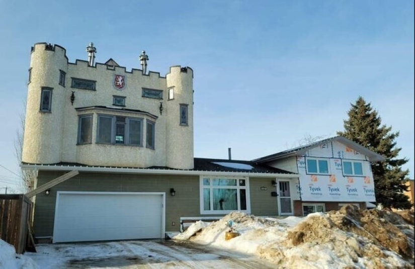 22 fotos divertidas de animales a los que no les gusta el Año Nuevo