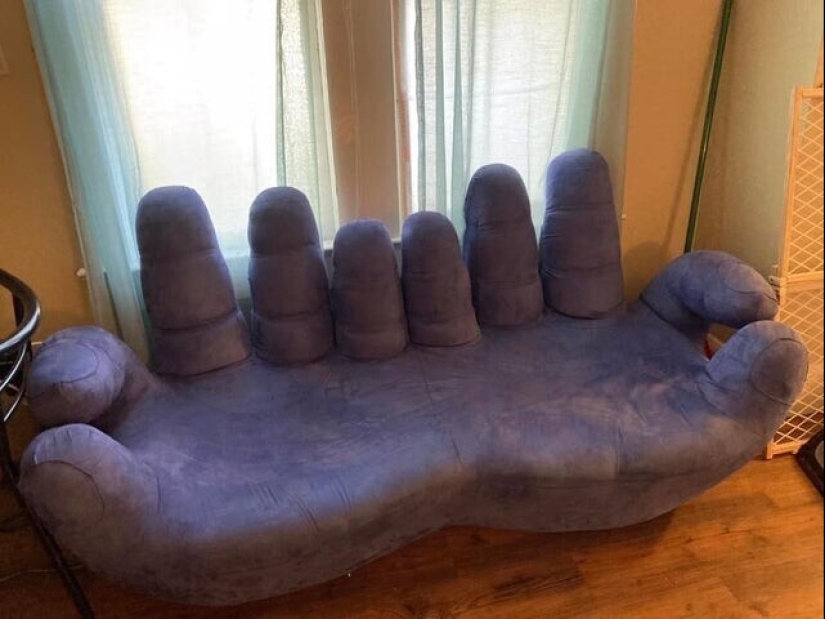 22 fotos divertidas de animales a los que no les gusta el Año Nuevo