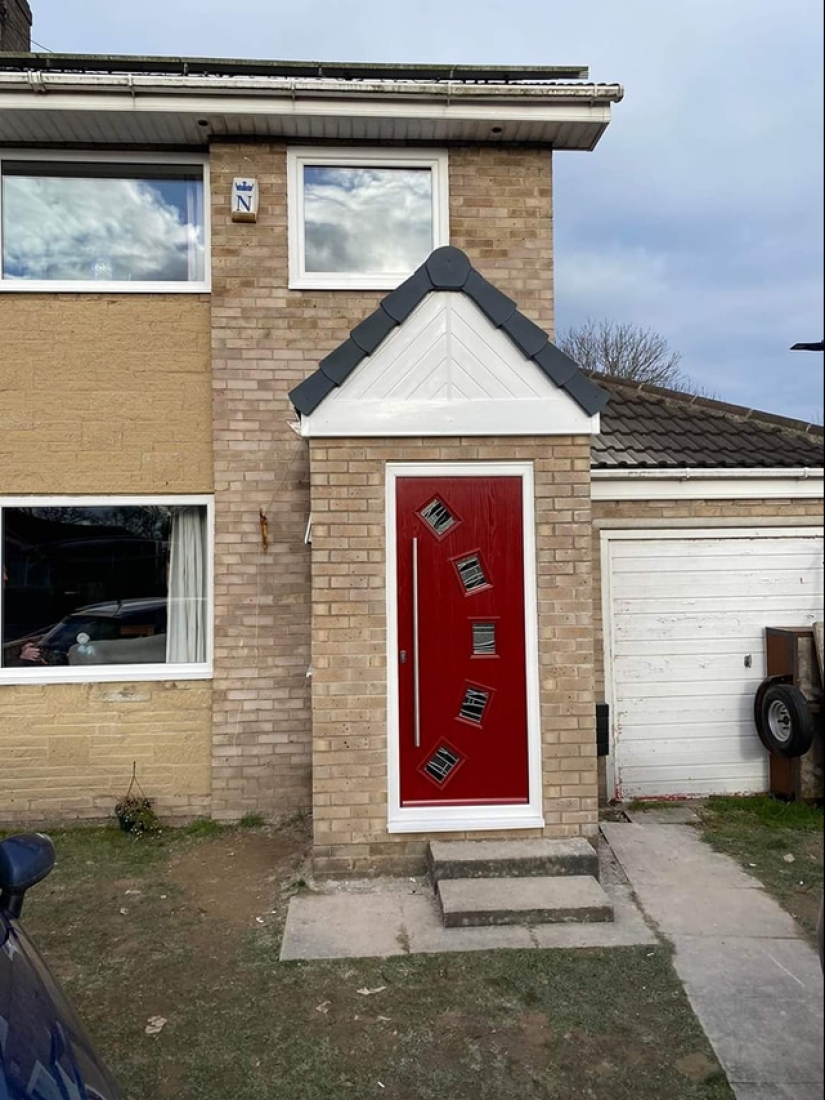 22 fotos divertidas de animales a los que no les gusta el Año Nuevo