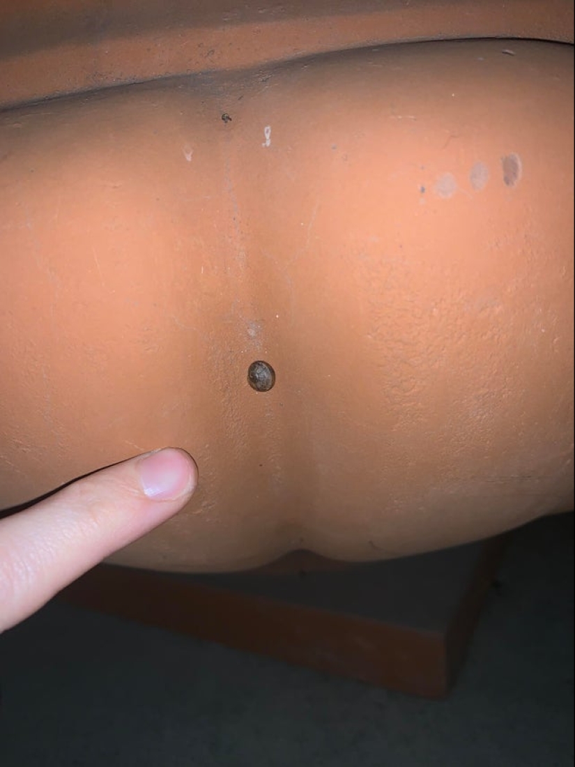 22 fotos en las que suceden cosas locas 22 fotos en las que suceden cosas locas