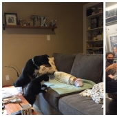 22 fotos increíblemente lindas con animales que iluminarán incluso el día más oscuro