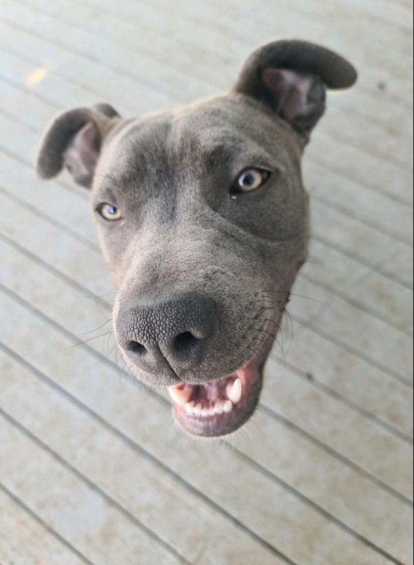 22 funny photos from the past that many would like to forget 22 funny photos from the past that many would like to forget