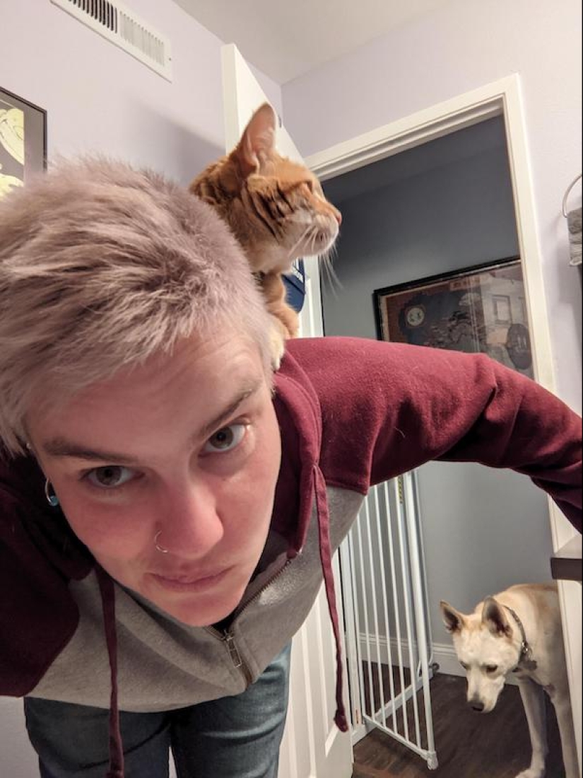 22 funny photos of animals that don't like the New Year 22 funny photos of animals that don't like the New Year