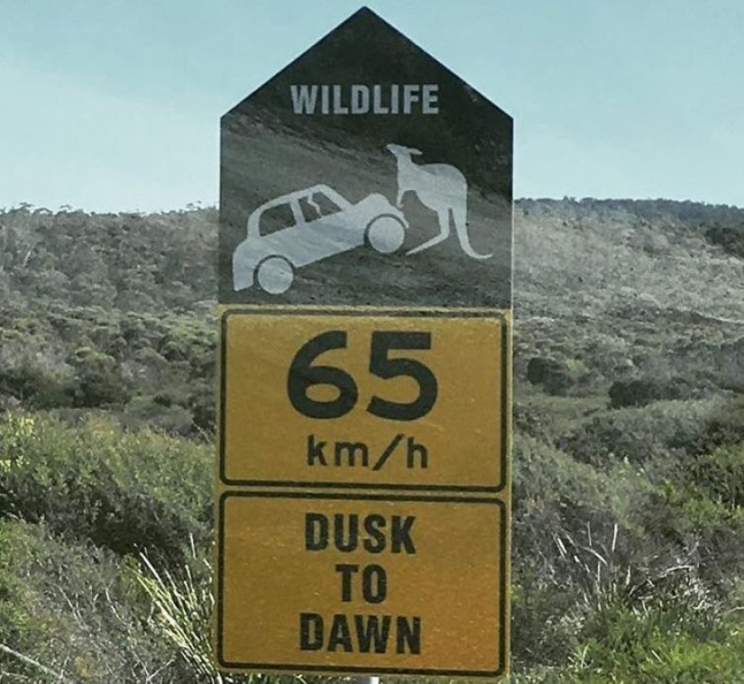 22 good reasons to never visit Australia 22 good reasons to never visit Australia