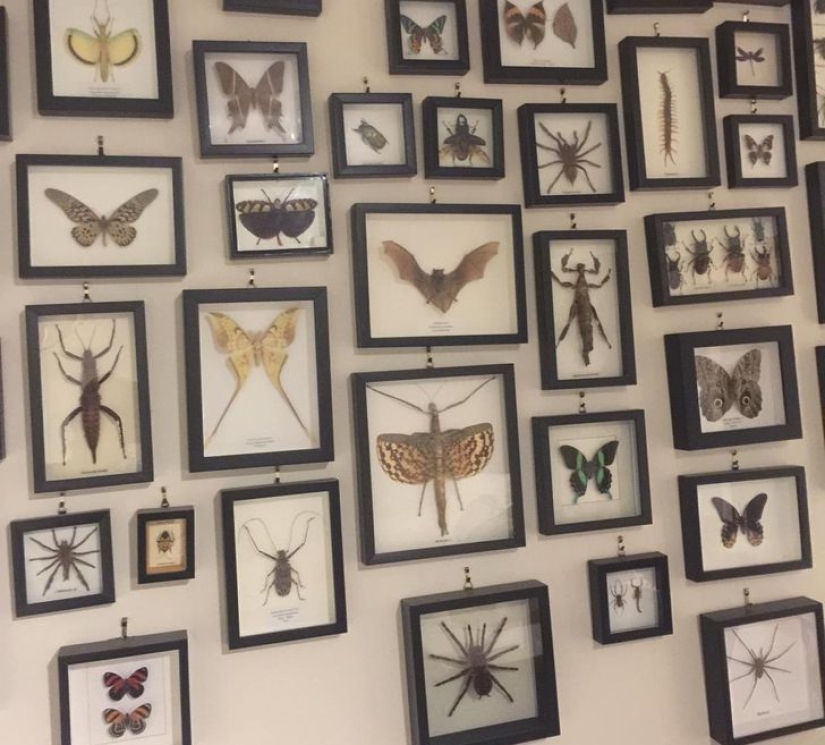 22 good reasons to never visit Australia 22 good reasons to never visit Australia