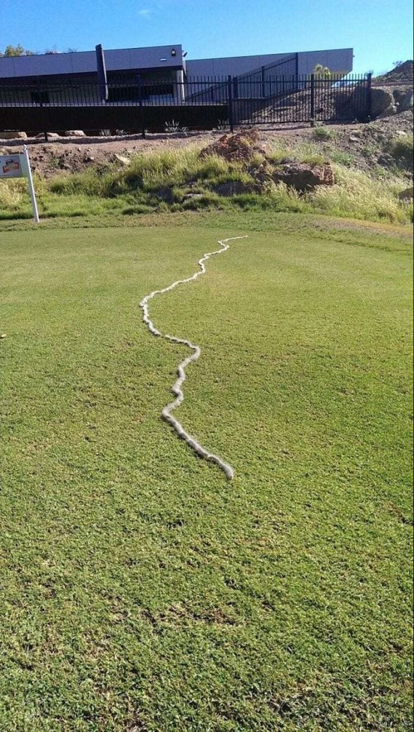 22 good reasons to never visit Australia 22 good reasons to never visit Australia