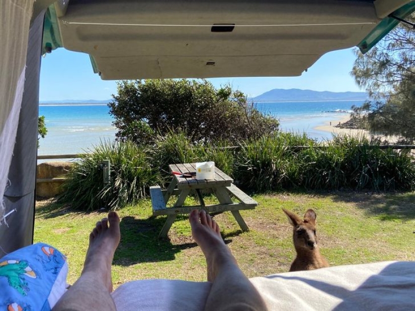 22 good reasons to never visit Australia 22 good reasons to never visit Australia