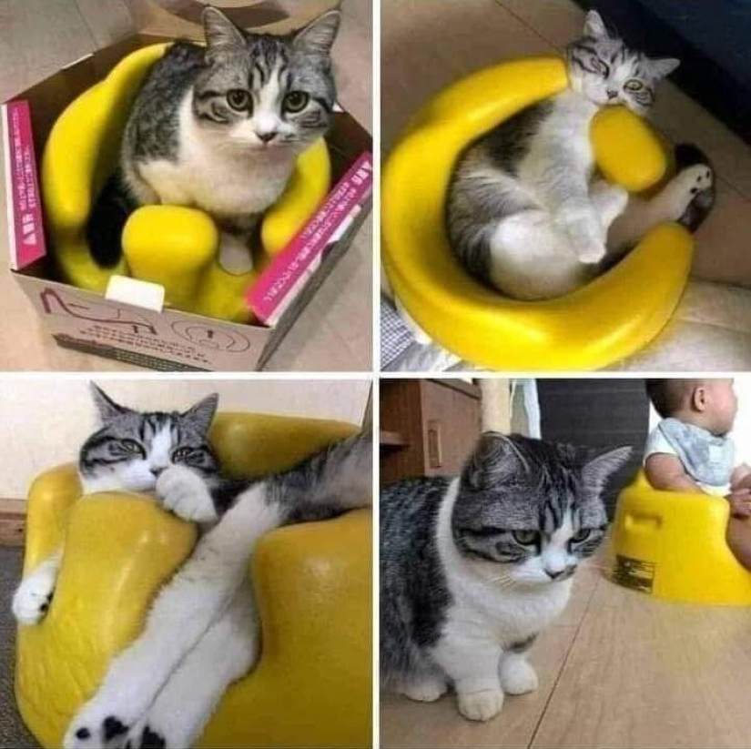 22 incredibly cute photos with animals that will brighten up even the darkest day