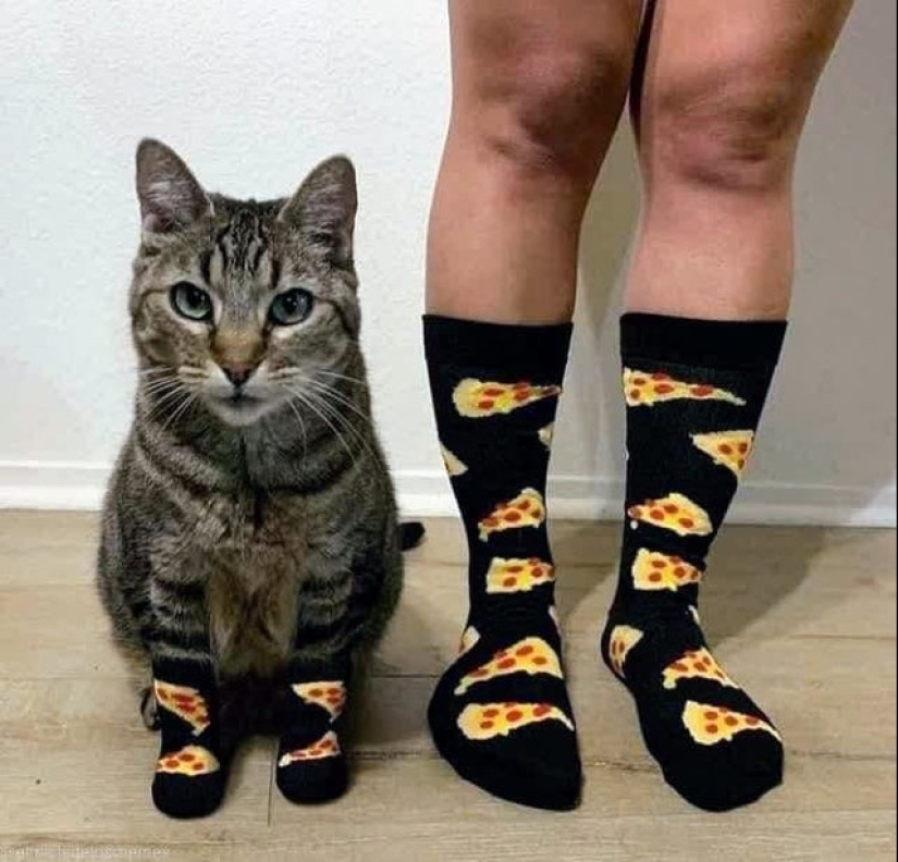 22 incredibly cute photos with animals that will brighten up even the darkest day