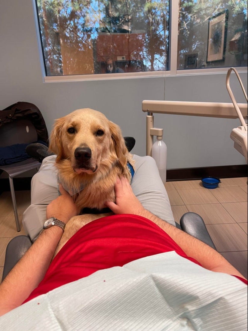 22 incredibly cute photos with animals that will brighten up even the darkest day