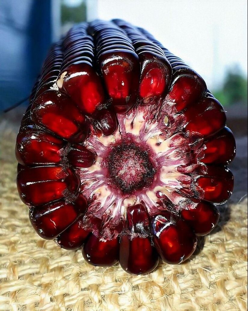 22 interesting discoveries that people couldn't help but share online 22 interesting discoveries that people couldn't help but share online