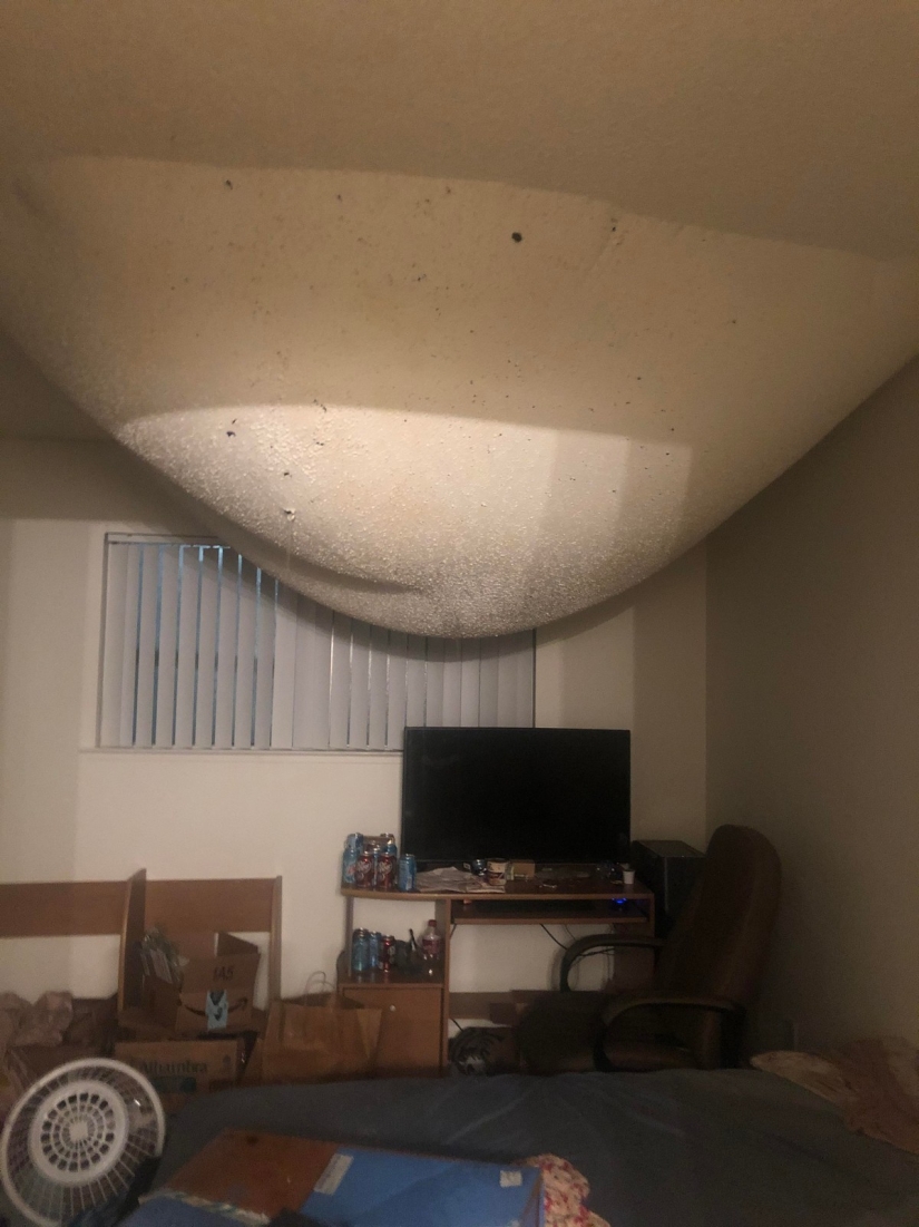 22 molestos problemas que se convirtió el día a alguien en una pesadilla