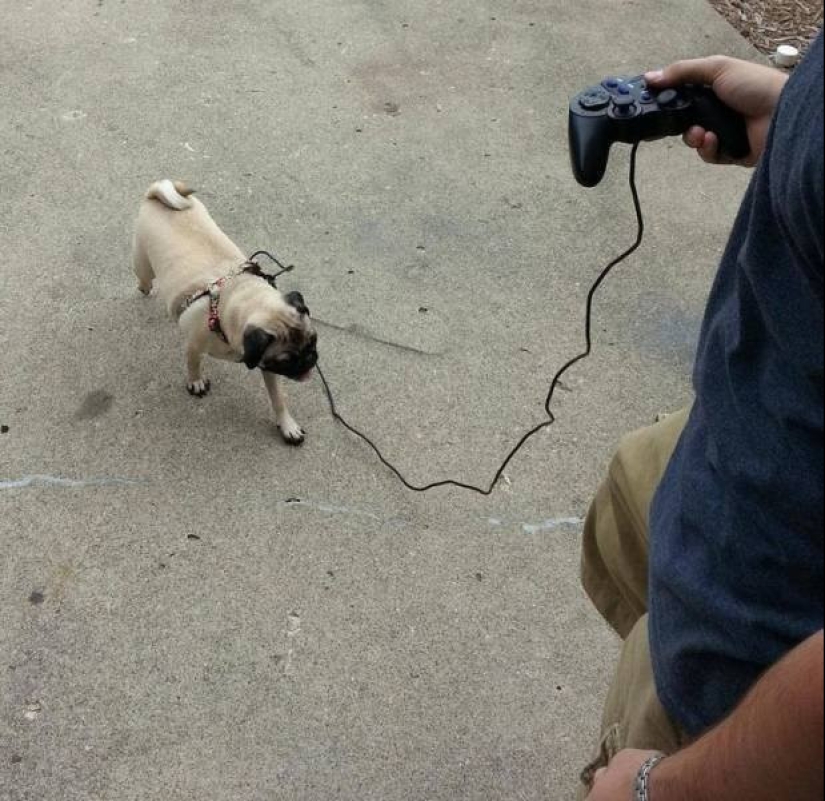 22 photos from people who were able to realize their sick fantasies