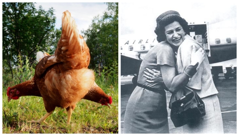 22 photos in which some crazy stuff is happening 22 photos in which some crazy stuff is happening