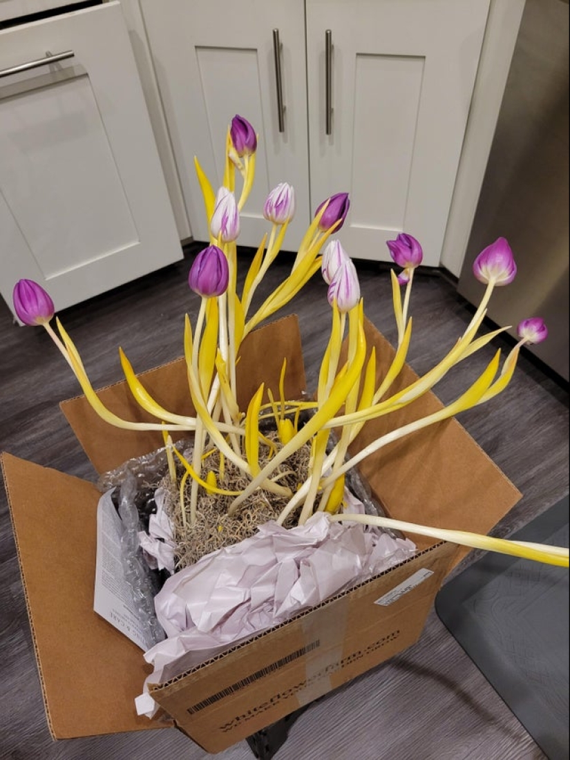 22 photos of amazing things and phenomena that actually exist 22 photos of amazing things and phenomena that actually exist