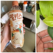 22 photos of amazing things and phenomena that actually exist