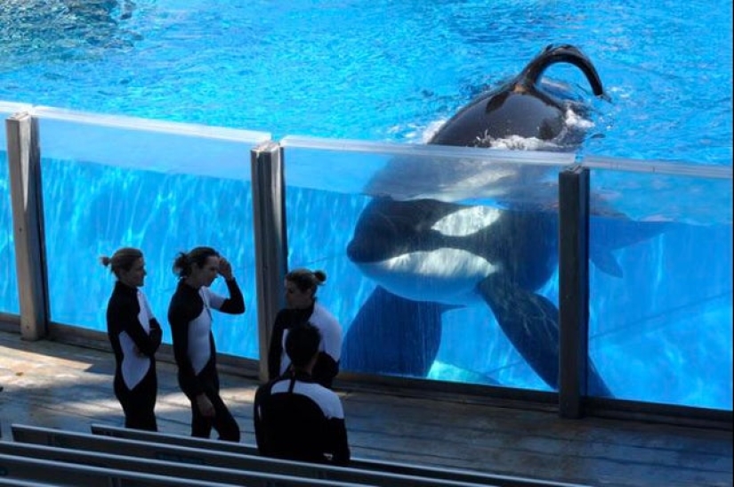 22 photos of amazing things and phenomena that actually exist 22 photos of amazing things and phenomena that actually exist