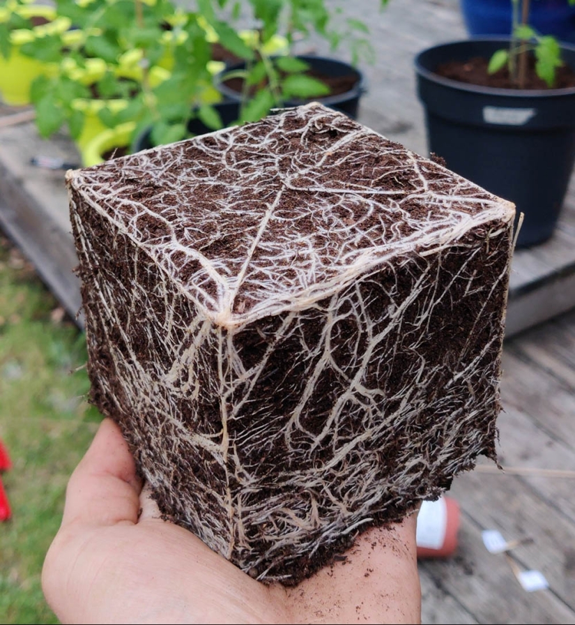 22 photos of perfect shapes that you can't take your eyes off 22 photos of perfect shapes that you can't take your eyes off