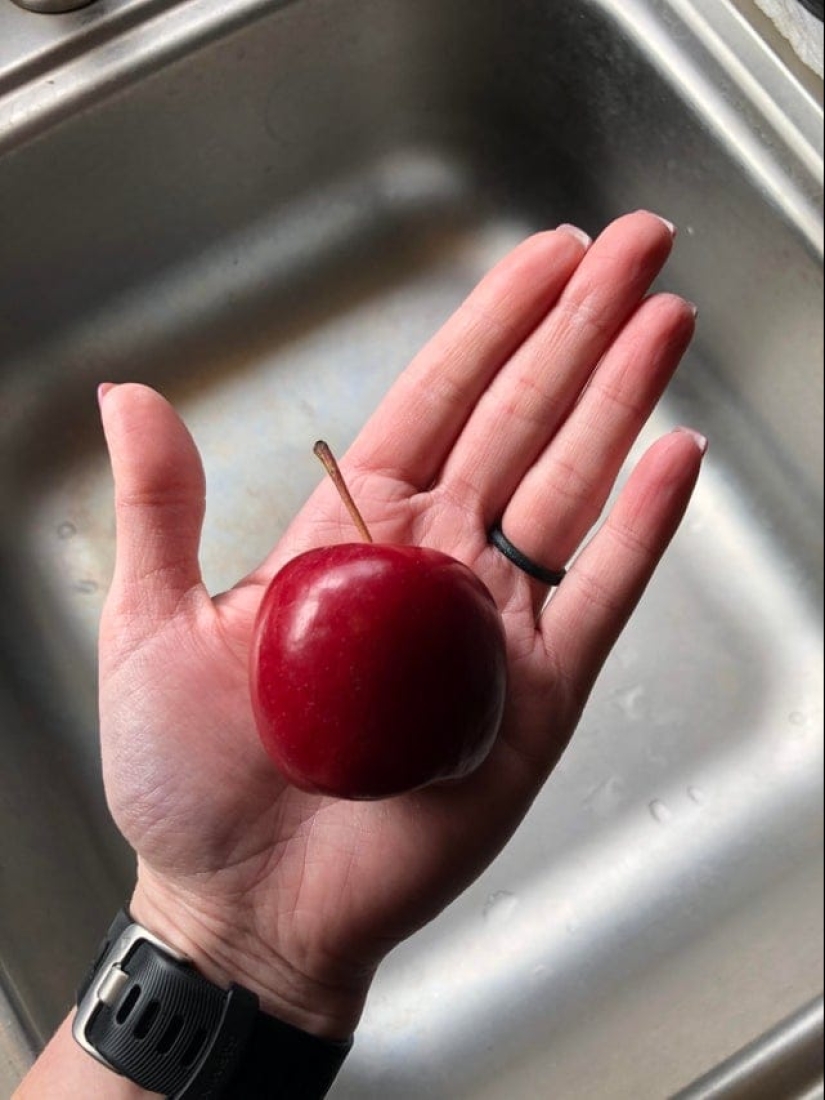 22 photos of perfect shapes that you can't take your eyes off 22 photos of perfect shapes that you can't take your eyes off