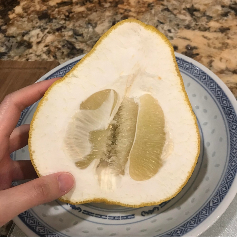 22 problemas que ocurrieron en el momento más inesperado 22 problemas que ocurrieron en el momento más inesperado