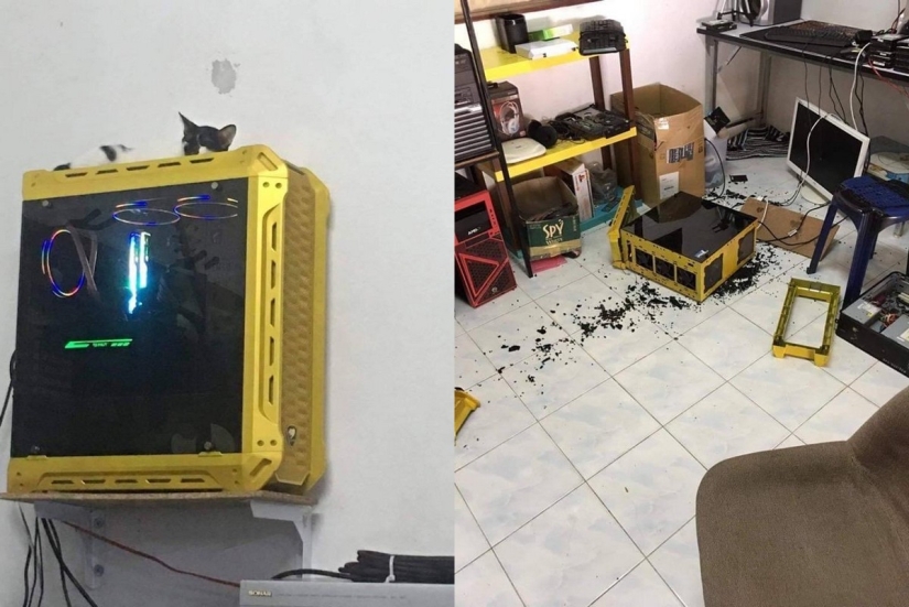 22 problemas que ocurrieron en el momento más inesperado 22 problemas que ocurrieron en el momento más inesperado