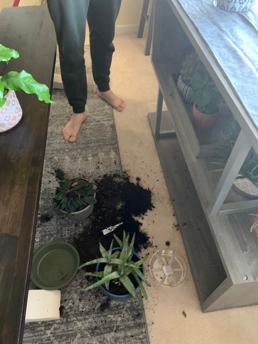 22 problemas que ocurrieron en el momento más inesperado 22 problemas que ocurrieron en el momento más inesperado