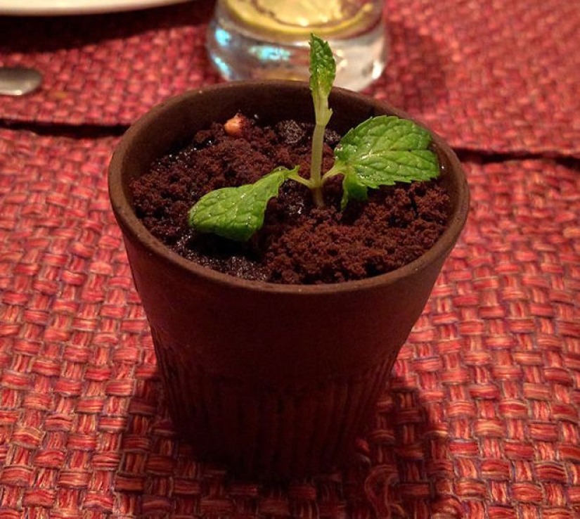 22 strange example of serving dishes in expensive restaurants, which cause a shock instead appetite 22 strange example of serving dishes in expensive restaurants, which cause a shock instead appetite