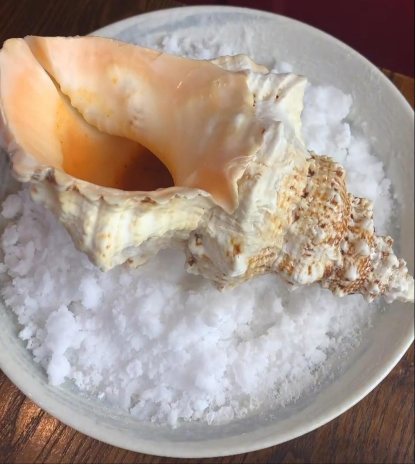 22 strange example of serving dishes in expensive restaurants, which cause a shock instead appetite 22 strange example of serving dishes in expensive restaurants, which cause a shock instead appetite