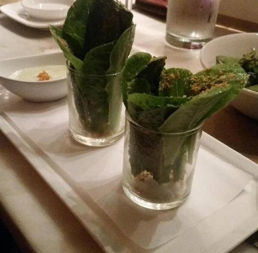 23 brightest example of how deceiving us in catering