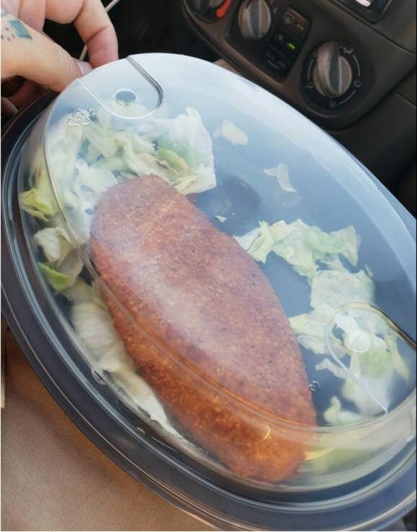 23 brightest example of how deceiving us in catering