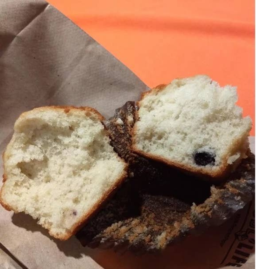 23 brightest example of how deceiving us in catering