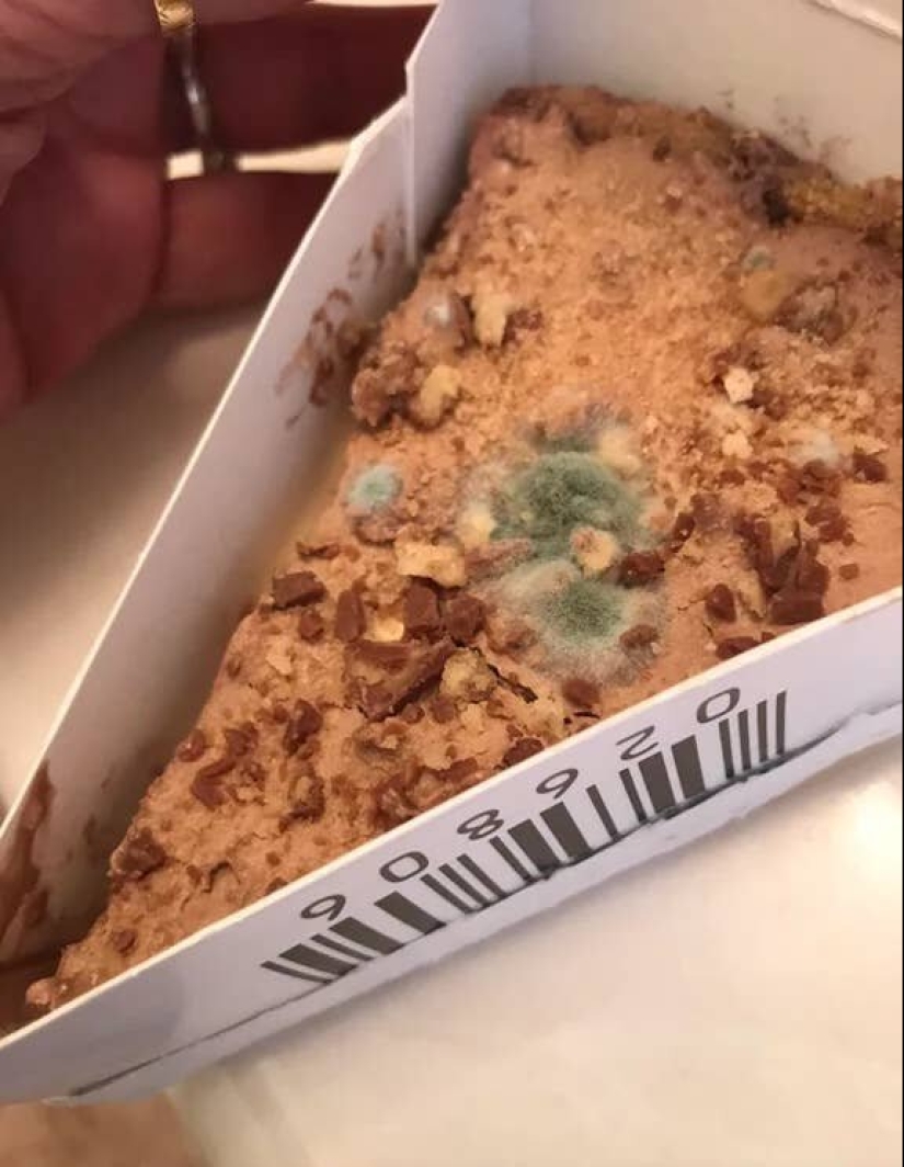 23 brightest example of how deceiving us in catering