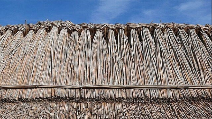 25 Amazing Hygiene Practices from the Past 25 Amazing Hygiene Practices from the Past