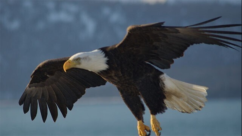 25 Amazing Hygiene Practices from the Past 25 Amazing Hygiene Practices from the Past