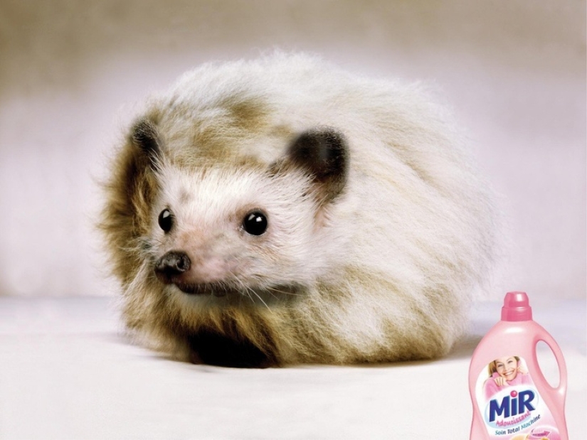 25 examples of advertising that awakens emotions. So it works 25 examples of advertising that awakens emotions. So it works