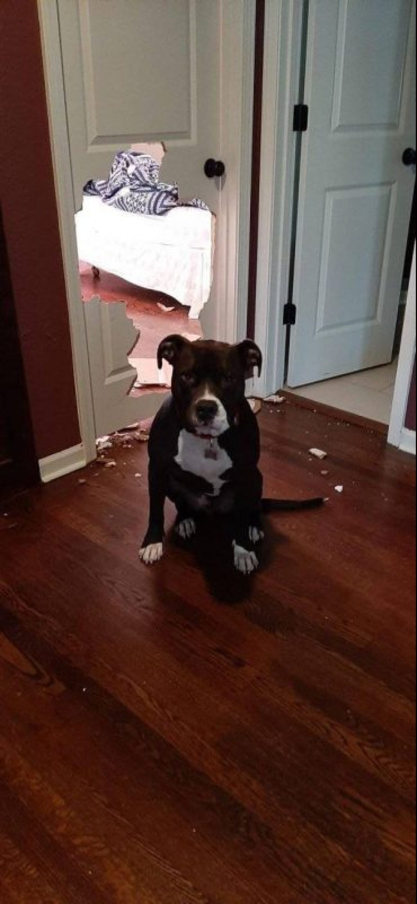 25 examples of what is meant by the phrase "a bad start to the day"