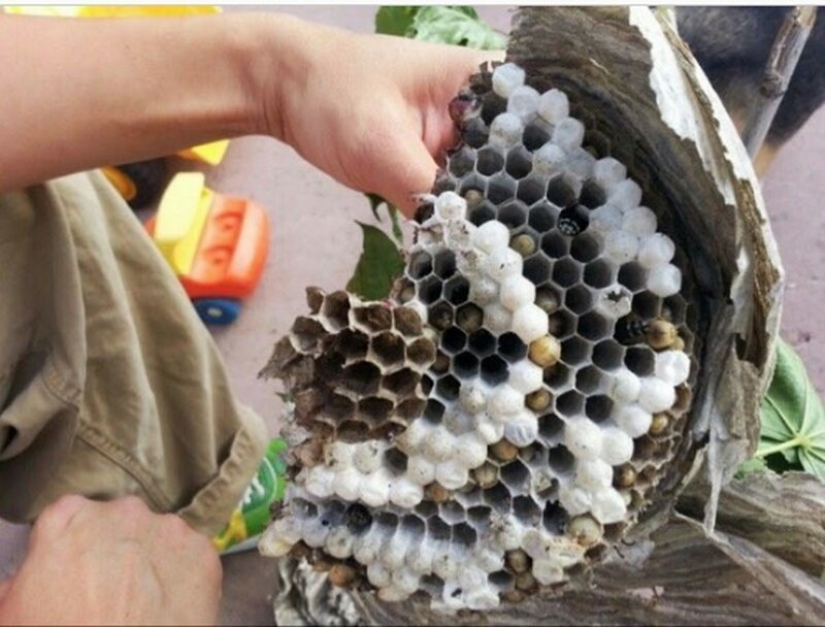 25 fotos que representan una mirada inusual a objetos familiares 25 fotos que representan una mirada inusual a objetos familiares