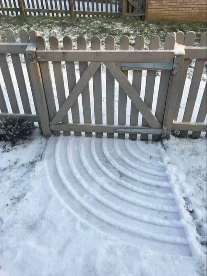 25 tiempo me alegro de ojo: una selección de fotos donde todo es perfecto