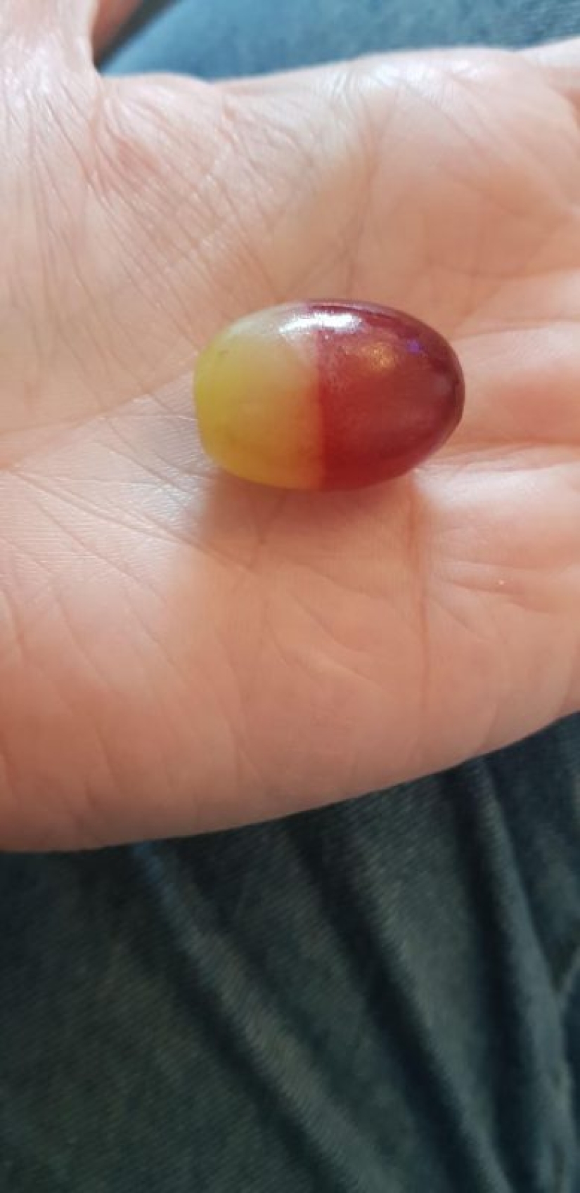 25 tiempo me alegro de ojo: una selección de fotos donde todo es perfecto