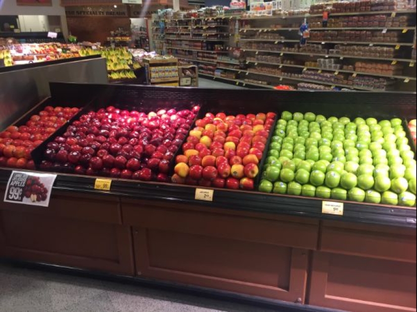 25 tiempo me alegro de ojo: una selección de fotos donde todo es perfecto