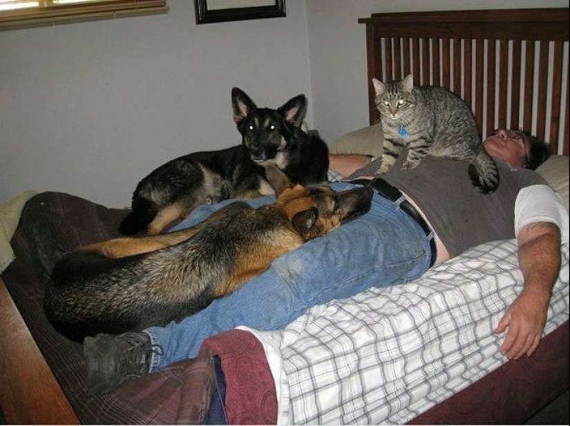 26 fathers who were against "that stupid cat", but something went wrong 26 fathers who were against "that stupid cat", but something went wrong