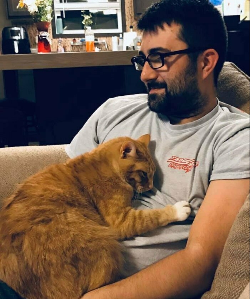 26 fathers who were against "that stupid cat", but something went wrong 26 fathers who were against "that stupid cat", but something went wrong