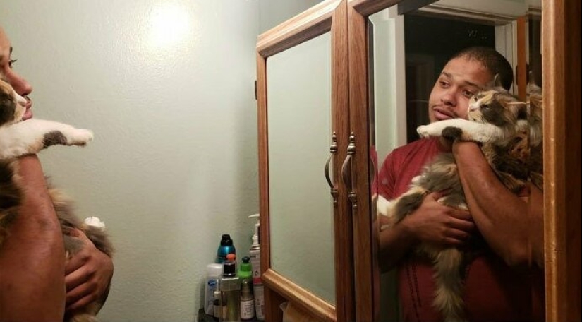 26 fathers who were against "that stupid cat", but something went wrong 26 fathers who were against "that stupid cat", but something went wrong