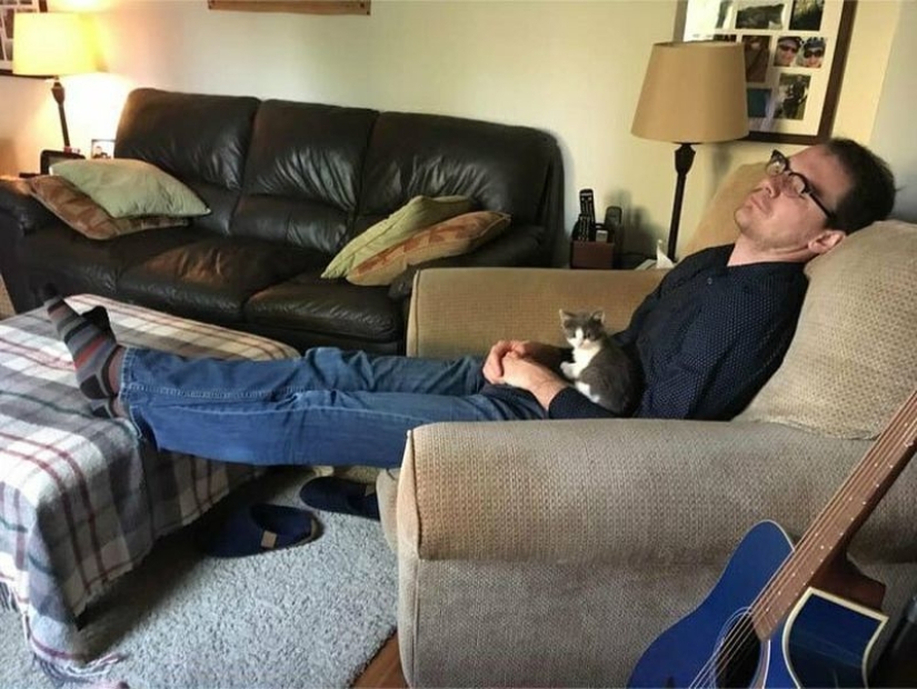 26 fathers who were against "that stupid cat", but something went wrong 26 fathers who were against "that stupid cat", but something went wrong