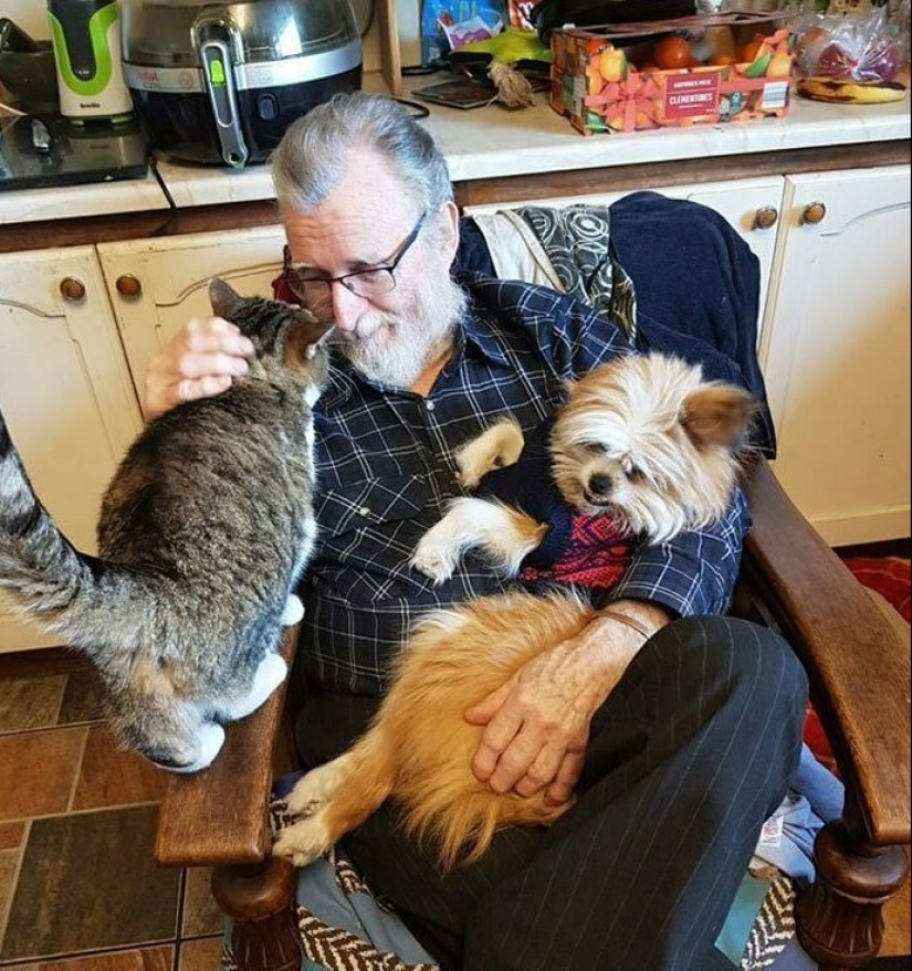 26 fathers who were against "that stupid cat", but something went wrong 26 fathers who were against "that stupid cat", but something went wrong