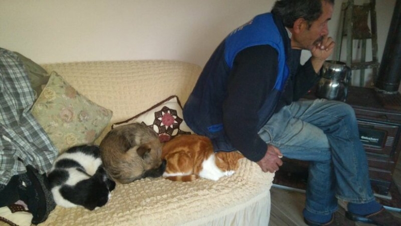 26 fathers who were against "that stupid cat", but something went wrong 26 fathers who were against "that stupid cat", but something went wrong