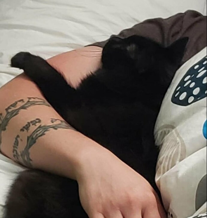 26 fathers who were against "that stupid cat", but something went wrong 26 fathers who were against "that stupid cat", but something went wrong