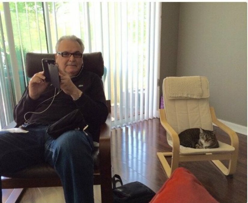 26 fathers who were against "that stupid cat", but something went wrong 26 fathers who were against "that stupid cat", but something went wrong